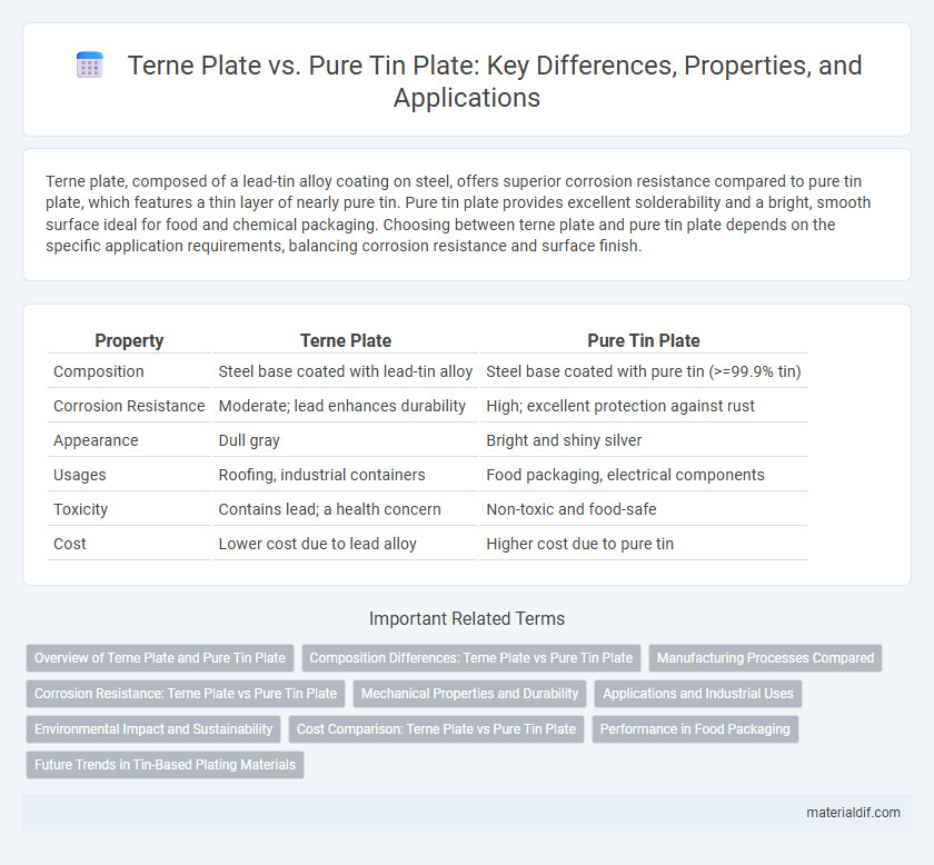 Terne Plate vs. Pure Tin Plate: Key Differences, Properties, and Applications