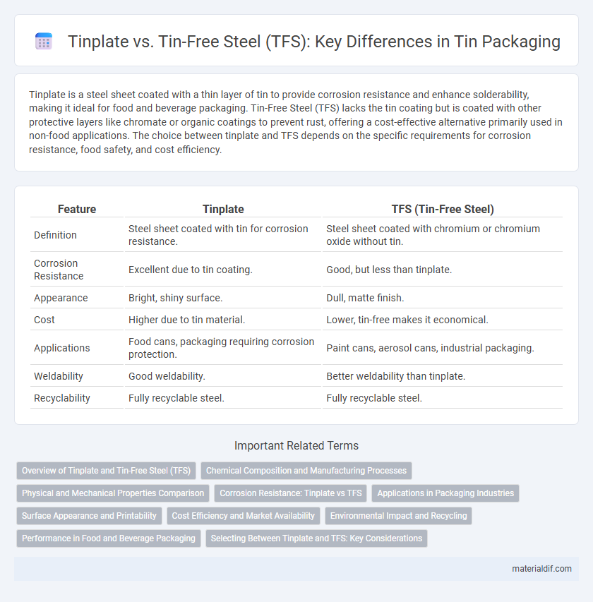Tinplate vs. Tin-Free Steel (TFS): Key Differences in Tin Packaging