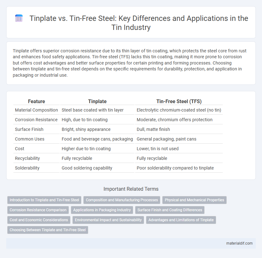 Tinplate vs. Tin-Free Steel: Key Differences and Applications in the Tin Industry