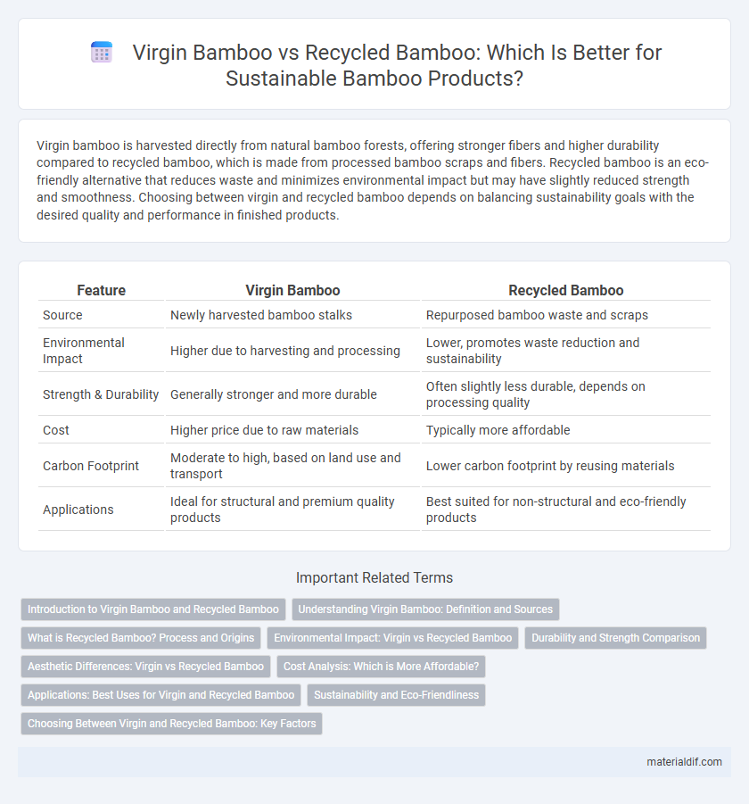Virgin Bamboo vs Recycled Bamboo: Which Is Better for Sustainable Bamboo Products?