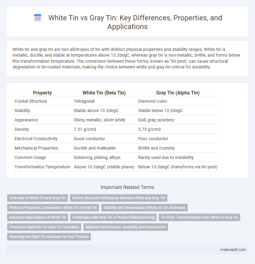 White Tin vs Gray Tin: Key Differences, Properties, and Applications