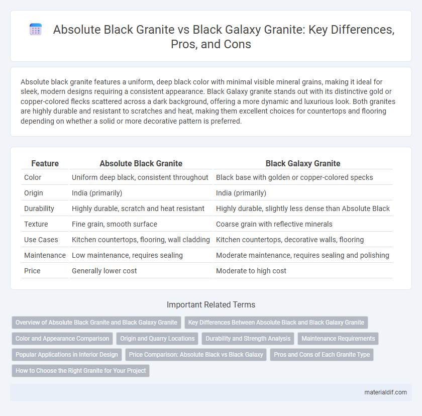 Absolute Black Granite vs Black Galaxy Granite: Key Differences, Pros, and Cons