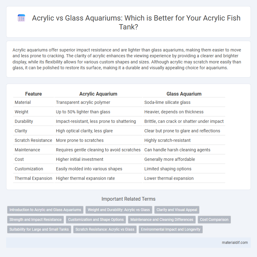 Acrylic vs Glass Aquariums: Which is Better for Your Acrylic Fish Tank?