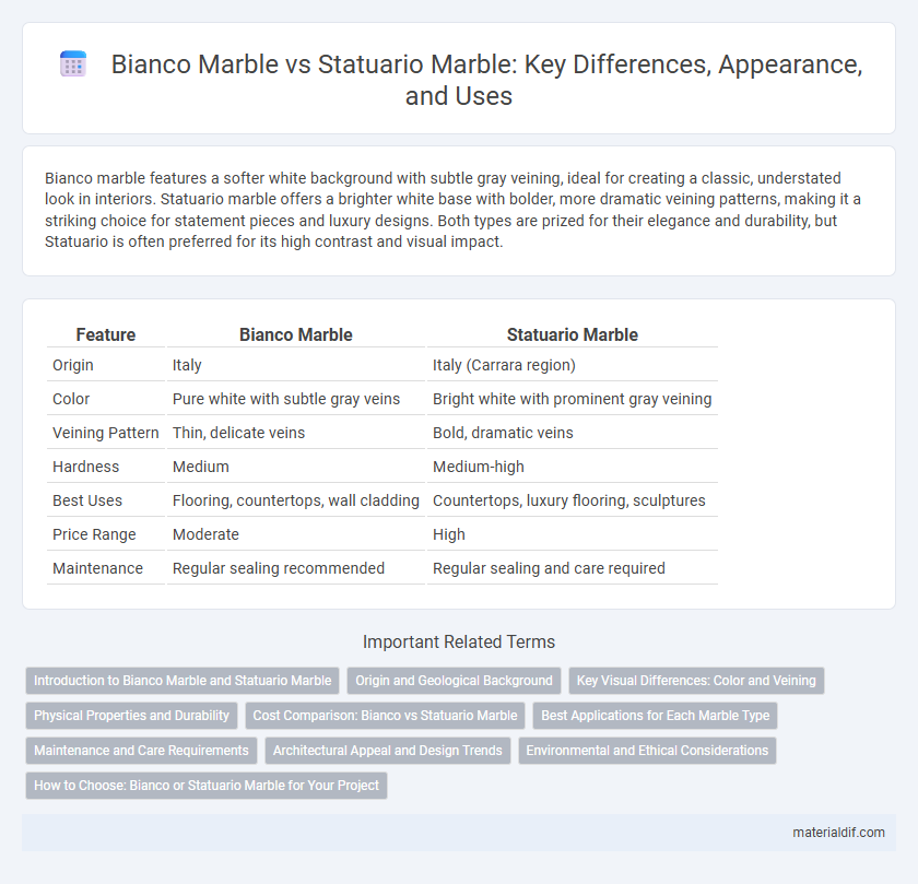 Bianco Marble vs Statuario Marble: Key Differences, Appearance, and Uses