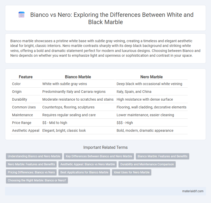 Bianco vs Nero: Exploring the Differences Between White and Black Marble