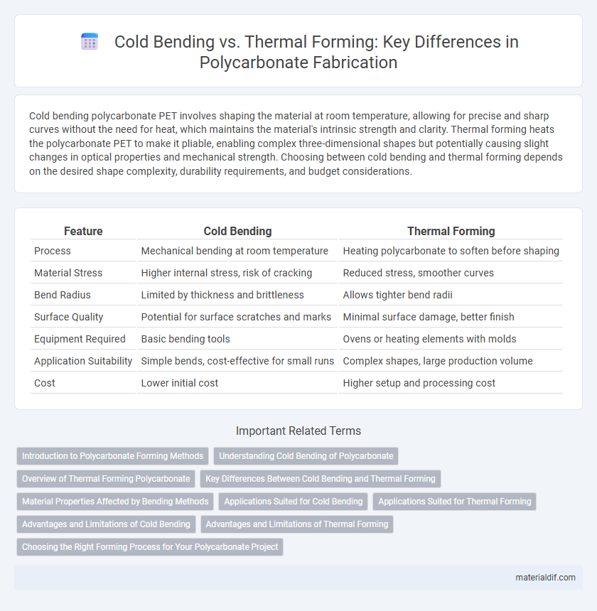 Cold Bending vs. Thermal Forming: Key Differences in Polycarbonate Fabrication
