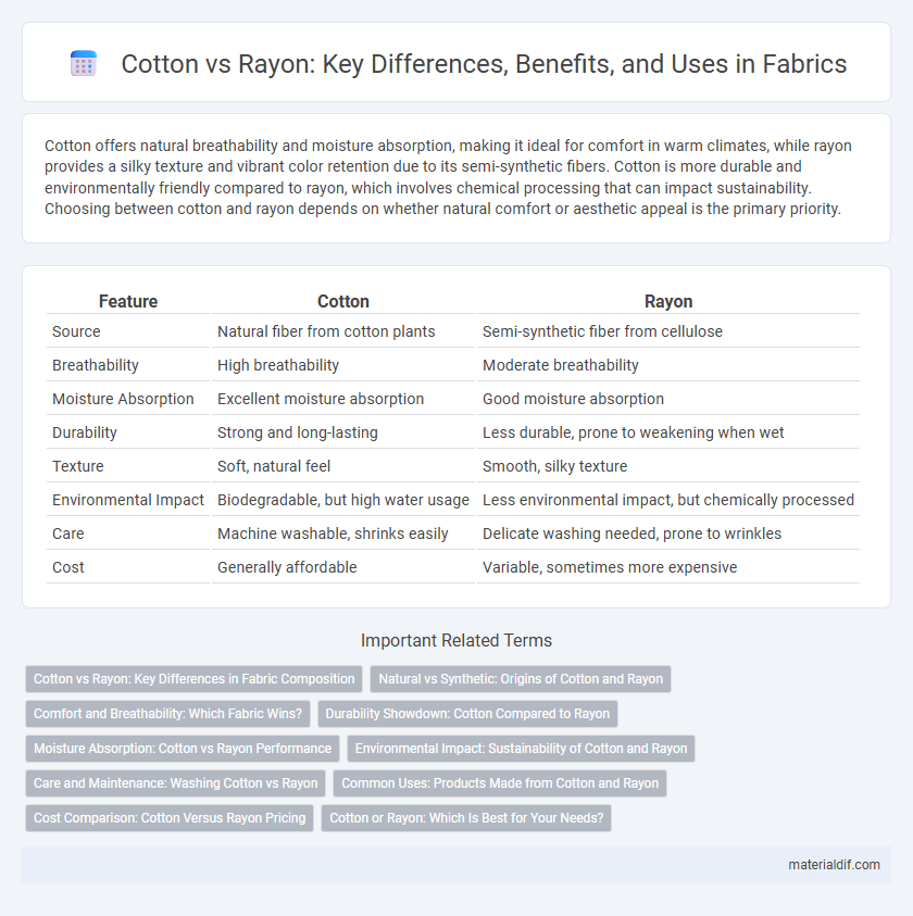 Cotton vs Rayon: Key Differences, Benefits, and Uses in Fabrics