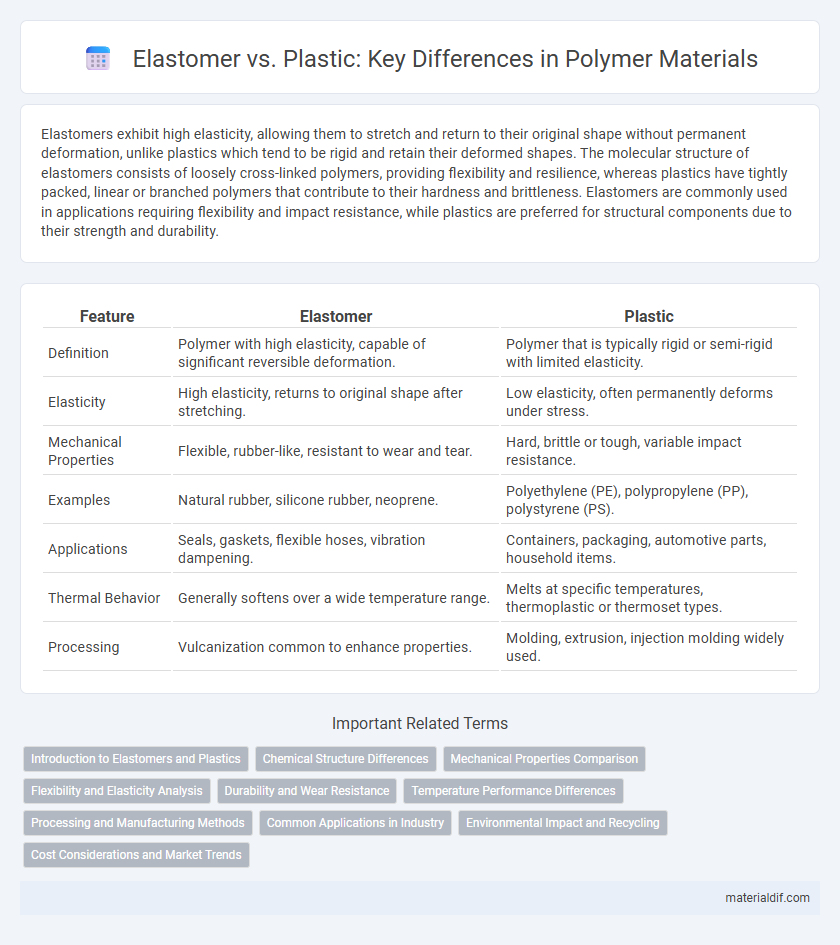 Elastomer vs. Plastic: Key Differences in Polymer Materials