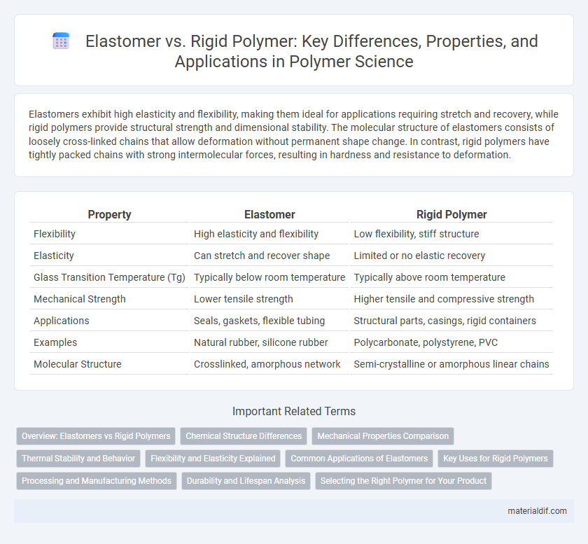 Elastomer vs. Rigid Polymer: Key Differences, Properties, and Applications in Polymer Science