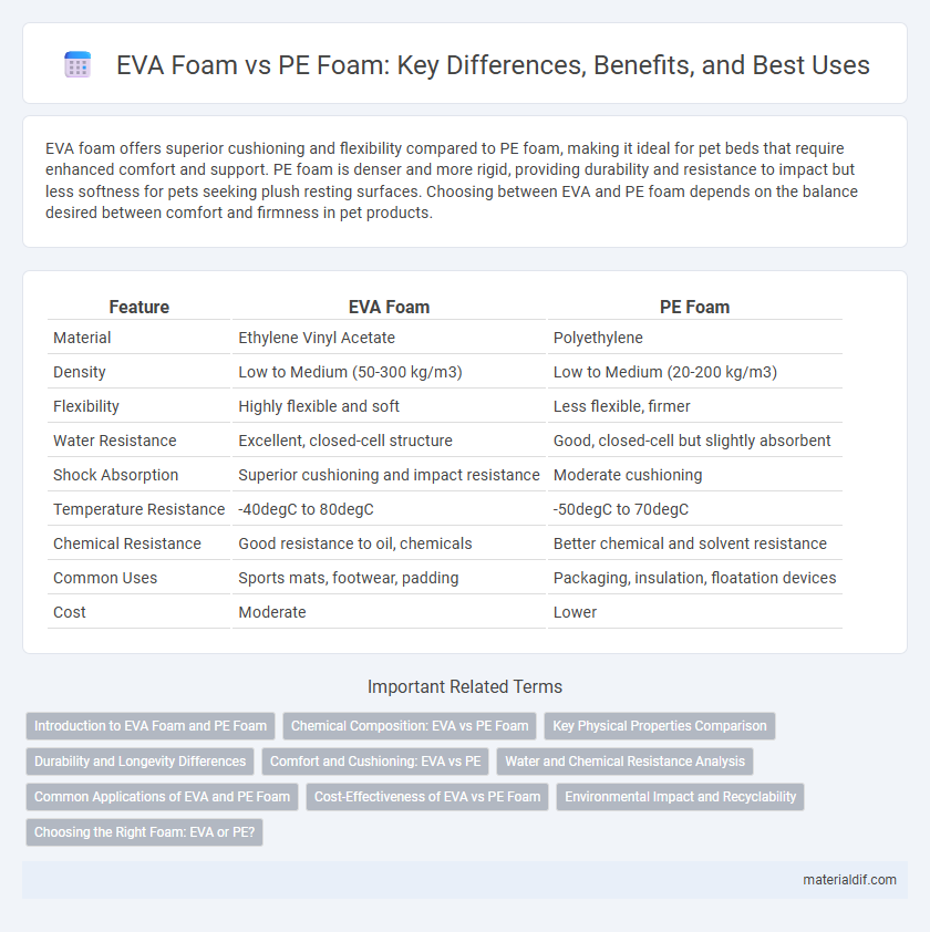 EVA Foam vs PE Foam: Key Differences, Benefits, and Best Uses