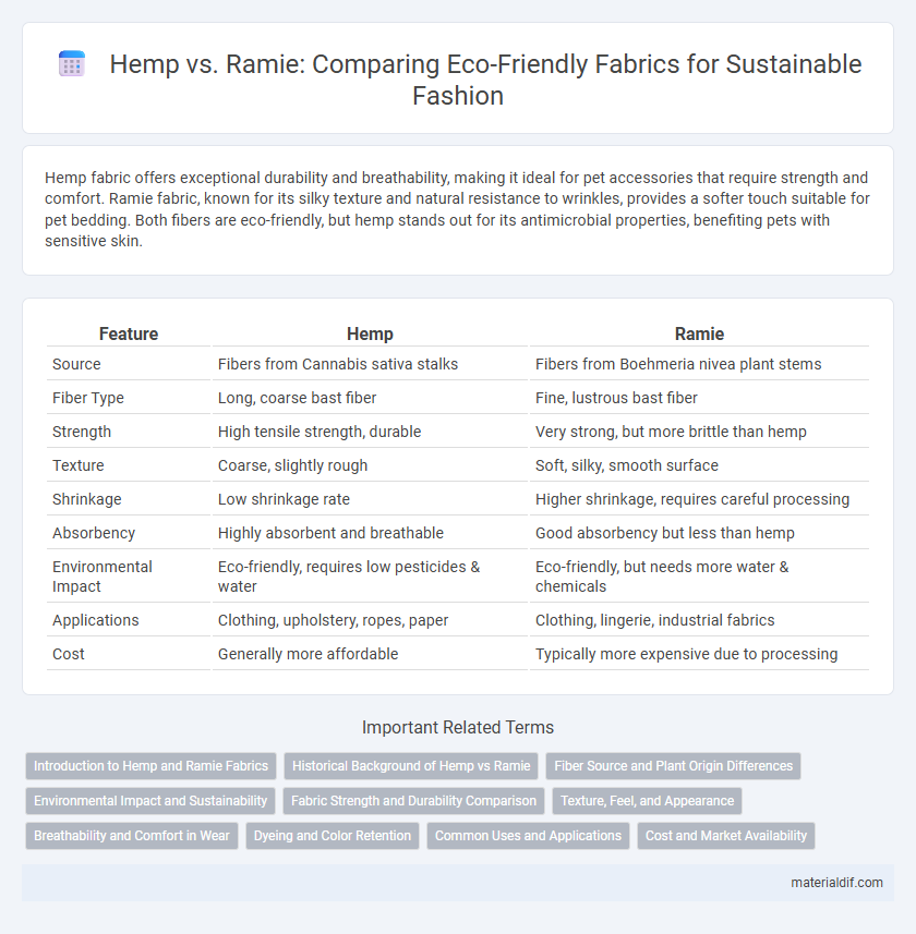 Hemp vs. Ramie: Comparing Eco-Friendly Fabrics for Sustainable Fashion