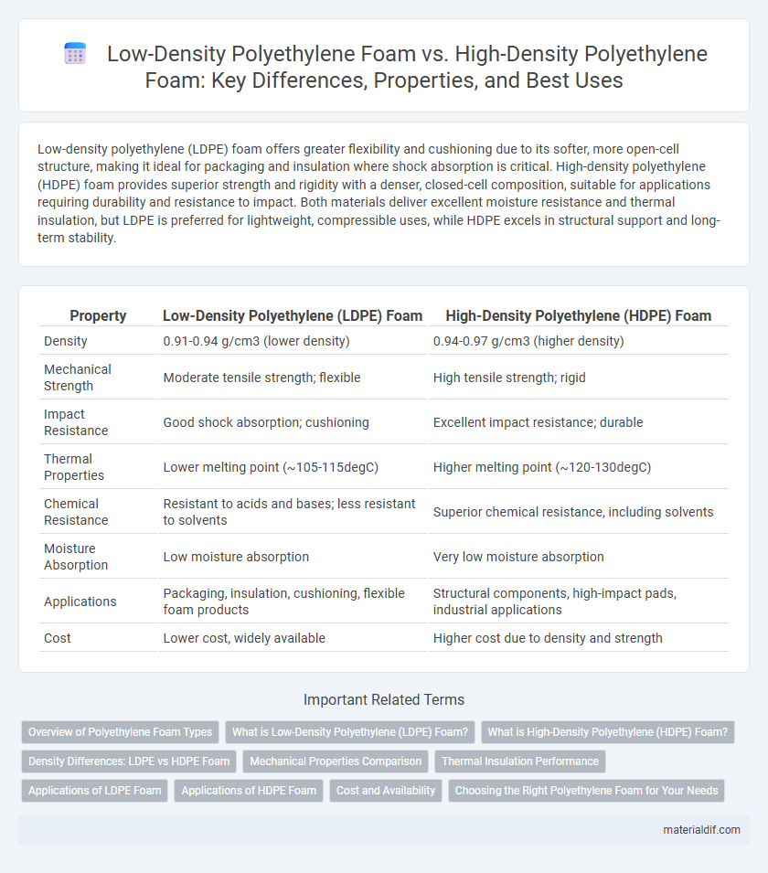 Low-Density Polyethylene Foam vs. High-Density Polyethylene Foam: Key Differences, Properties, and Best Uses