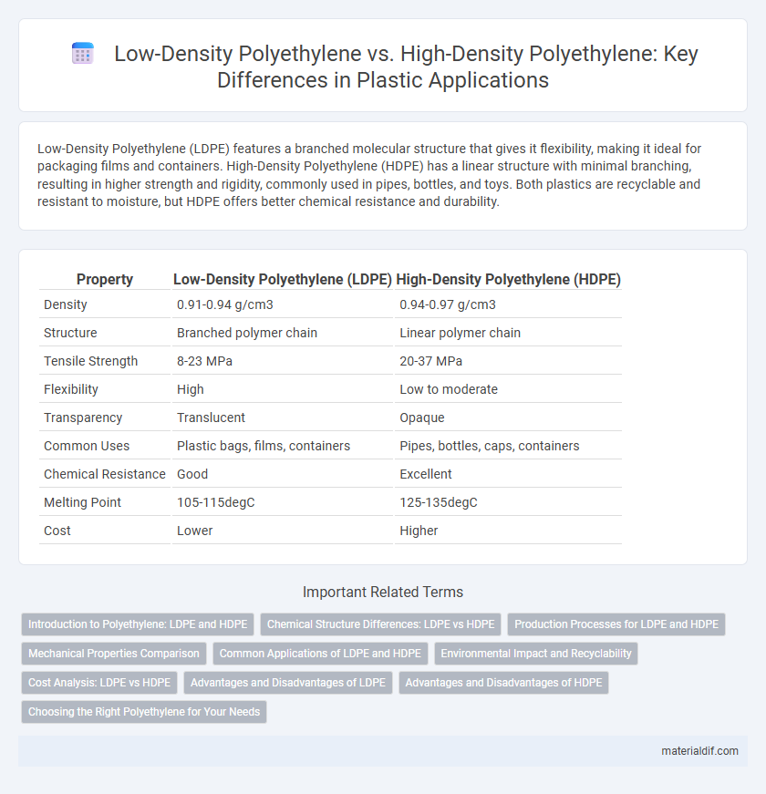 Low-Density Polyethylene vs. High-Density Polyethylene: Key Differences in Plastic Applications