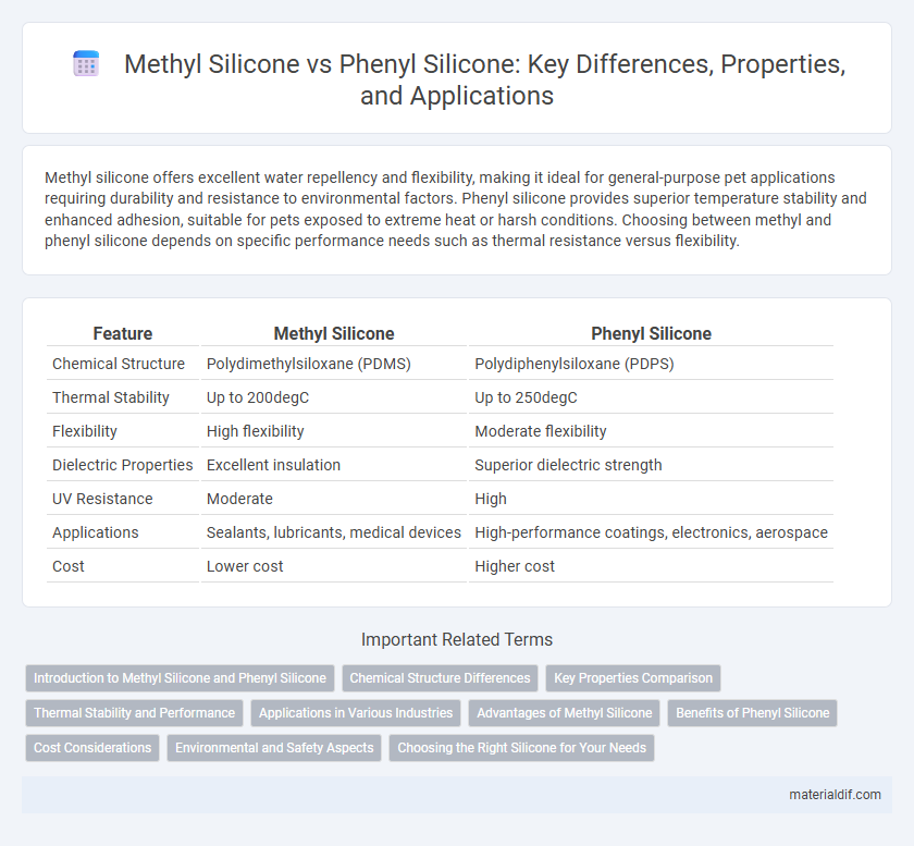 Methyl Silicone vs Phenyl Silicone: Key Differences, Properties, and Applications
