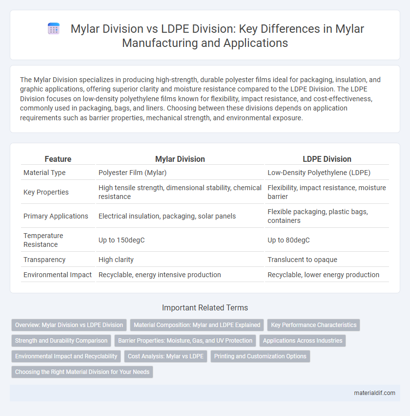 Mylar Division vs LDPE Division: Key Differences in Mylar Manufacturing and Applications