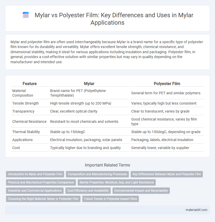 Mylar vs Polyester Film: Key Differences and Uses in Mylar Applications