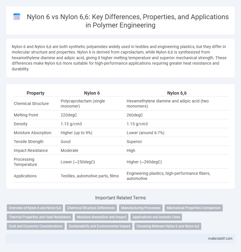 Nylon 6 vs Nylon 6,6: Key Differences, Properties, and Applications in Polymer Engineering