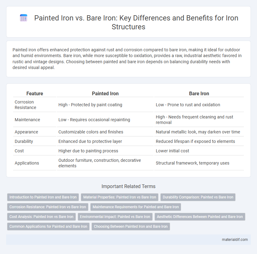 Painted Iron vs. Bare Iron: Key Differences and Benefits for Iron Structures