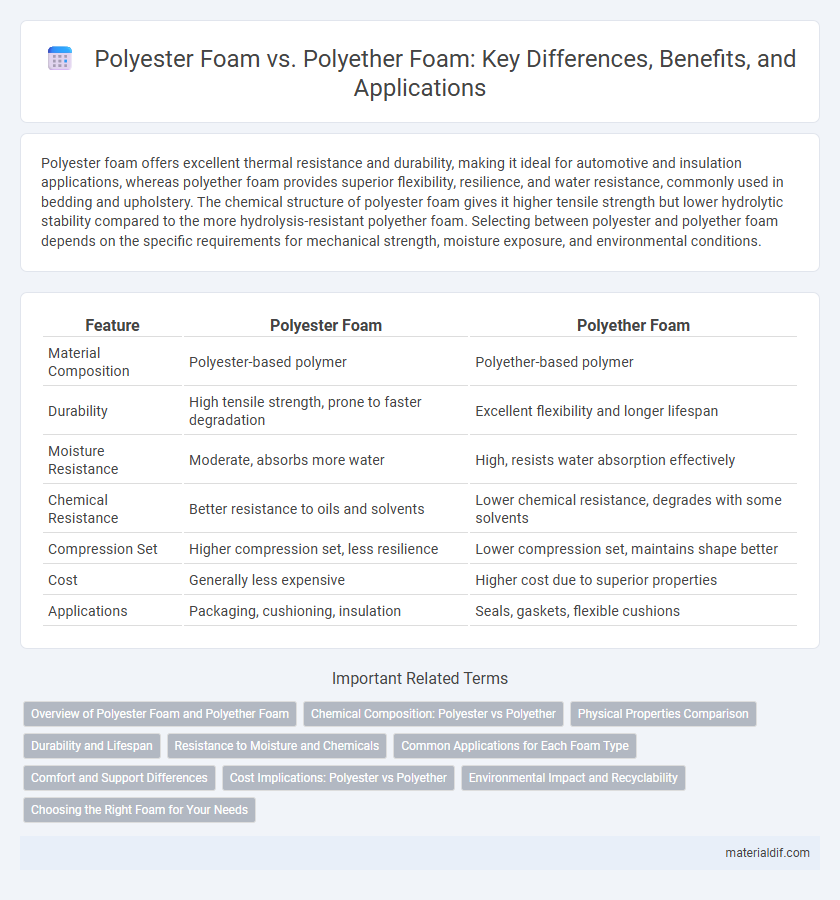 Polyester Foam vs. Polyether Foam: Key Differences, Benefits, and Applications