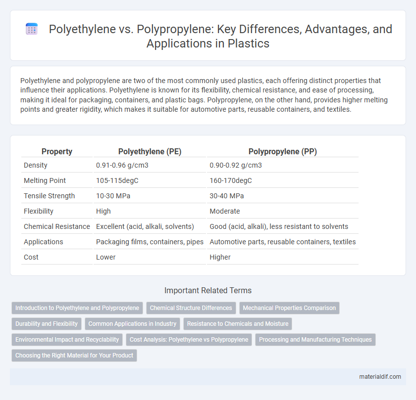 Polyethylene vs. Polypropylene: Key Differences, Advantages, and Applications in Plastics