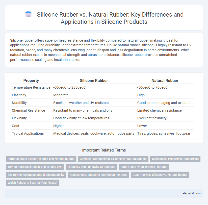 Silicone Rubber vs. Natural Rubber: Key Differences and Applications in Silicone Products
