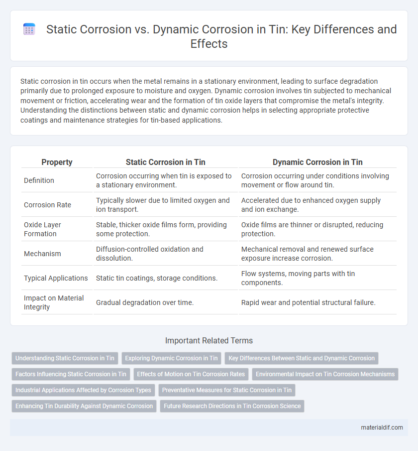 Static Corrosion vs. Dynamic Corrosion in Tin: Key Differences and Effects