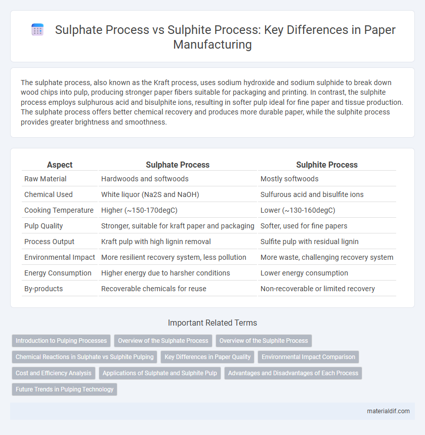 Sulphate Process vs Sulphite Process: Key Differences in Paper Manufacturing