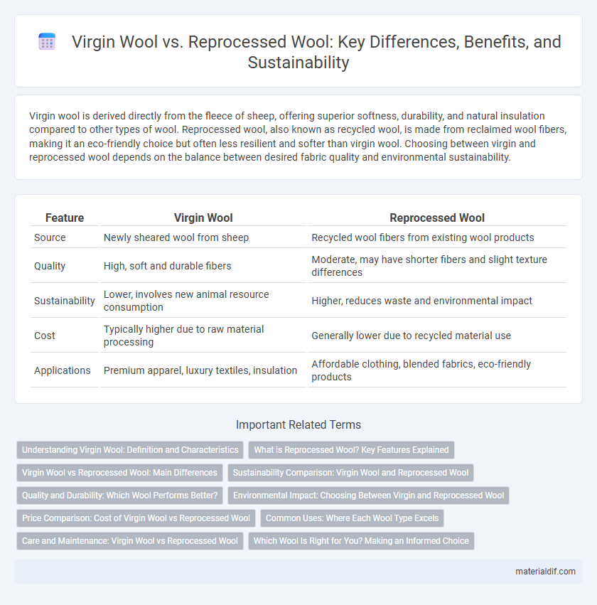 Virgin Wool vs. Reprocessed Wool: Key Differences, Benefits, and Sustainability