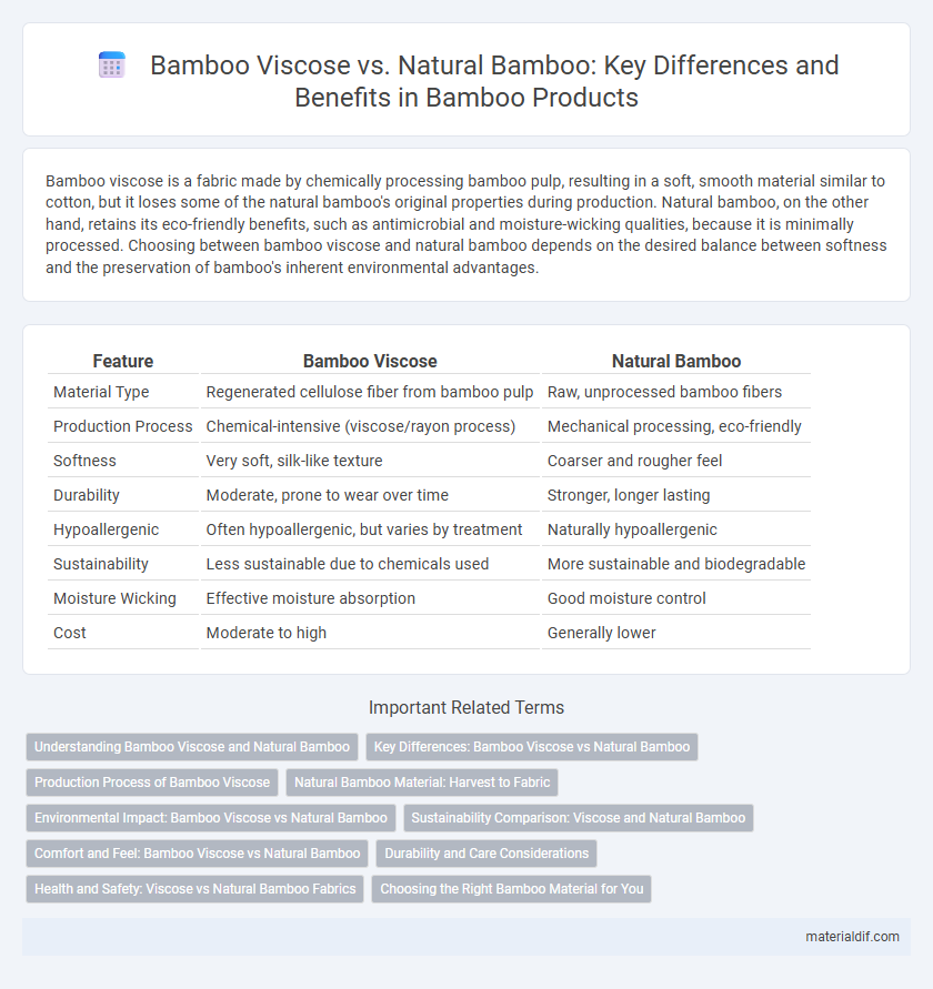 Bamboo Viscose vs. Natural Bamboo: Key Differences and Benefits in Bamboo Products