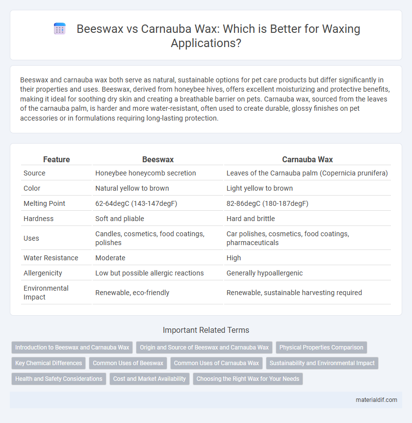 Beeswax vs Carnauba Wax: Which is Better for Waxing Applications?