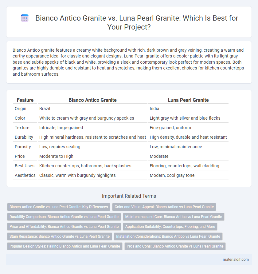 Bianco Antico Granite vs. Luna Pearl Granite: Which Is Best for Your Project?