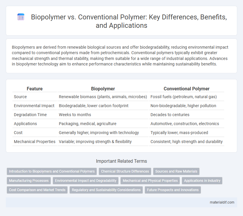 Biopolymer vs. Conventional Polymer: Key Differences, Benefits, and Applications