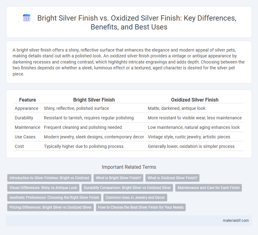 Bright Silver Finish vs. Oxidized Silver Finish: Key Differences, Benefits, and Best Uses