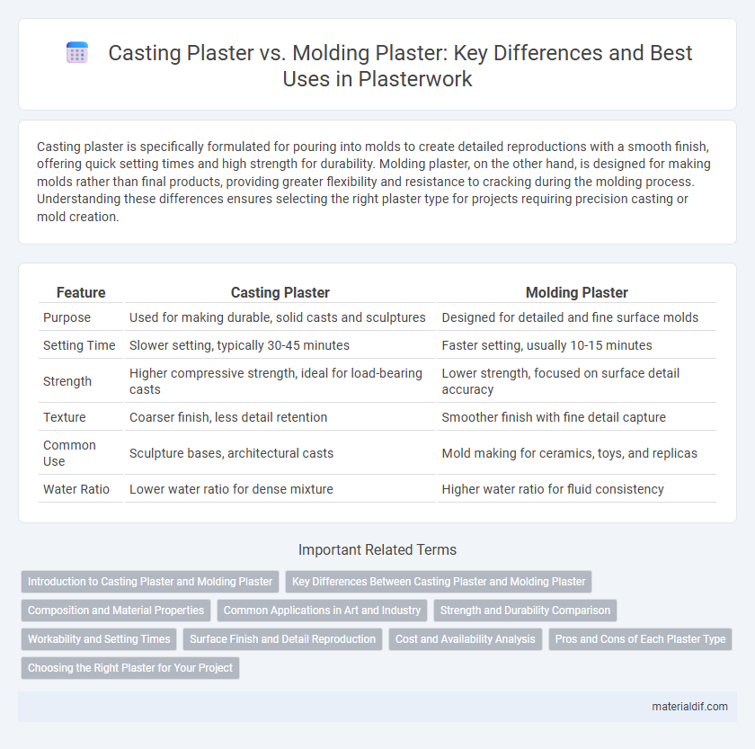 Casting Plaster vs. Molding Plaster: Key Differences and Best Uses in Plasterwork