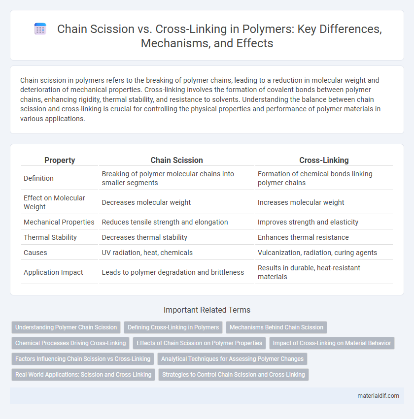 Chain Scission vs. Cross-Linking in Polymers: Key Differences, Mechanisms, and Effects