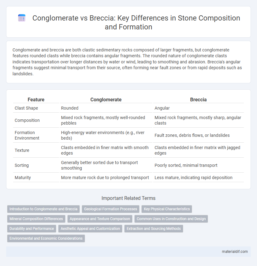 Conglomerate vs Breccia: Key Differences in Stone Composition and Formation