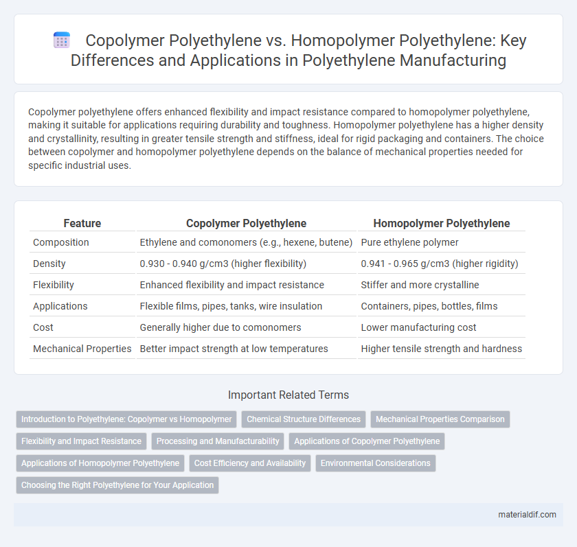 Copolymer Polyethylene vs. Homopolymer Polyethylene: Key Differences and Applications in Polyethylene Manufacturing