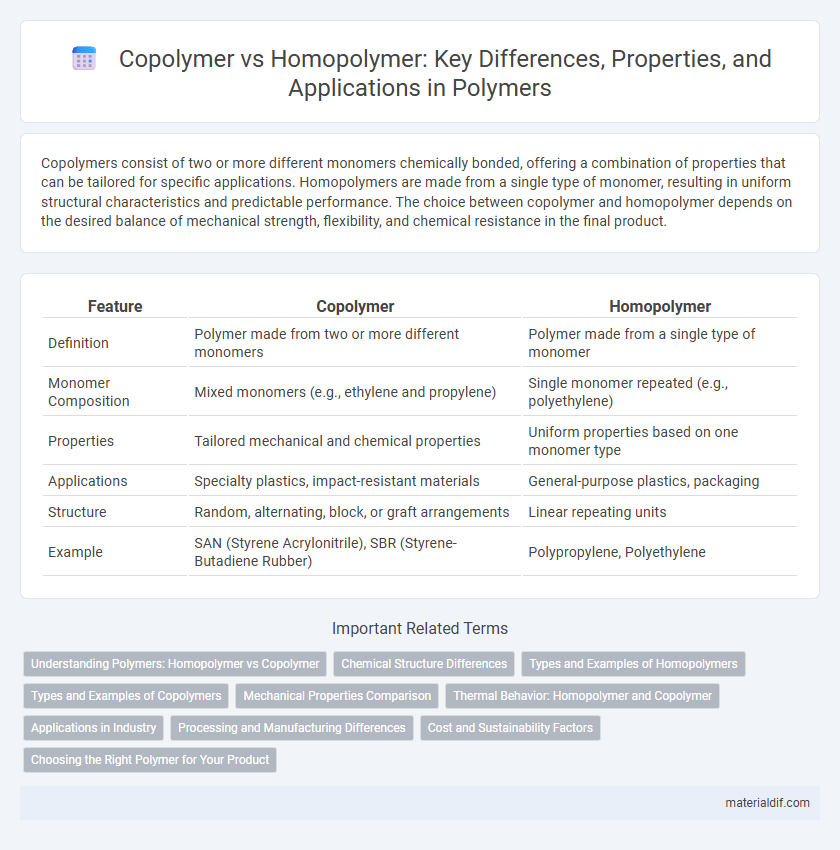 Copolymer vs Homopolymer: Key Differences, Properties, and Applications in Polymers