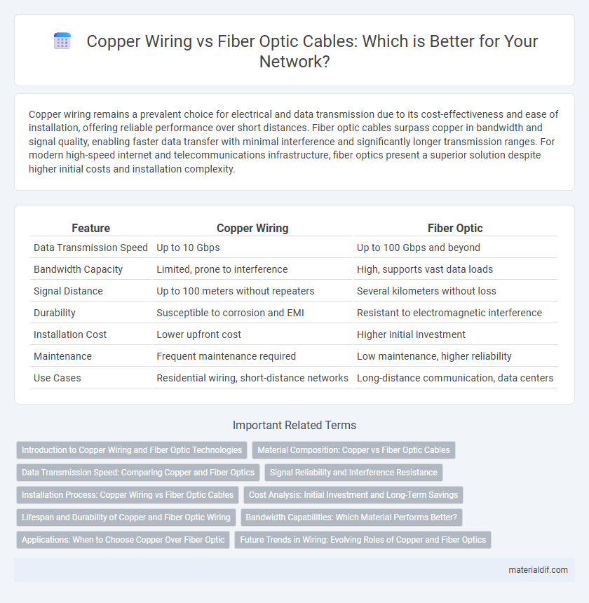 Copper Wiring vs Fiber Optic Cables: Which is Better for Your Network?