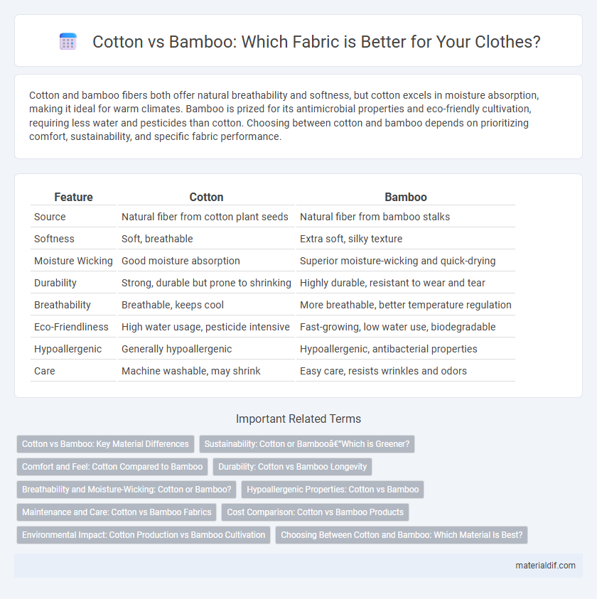 Cotton vs Bamboo: Which Fabric is Better for Your Clothes?