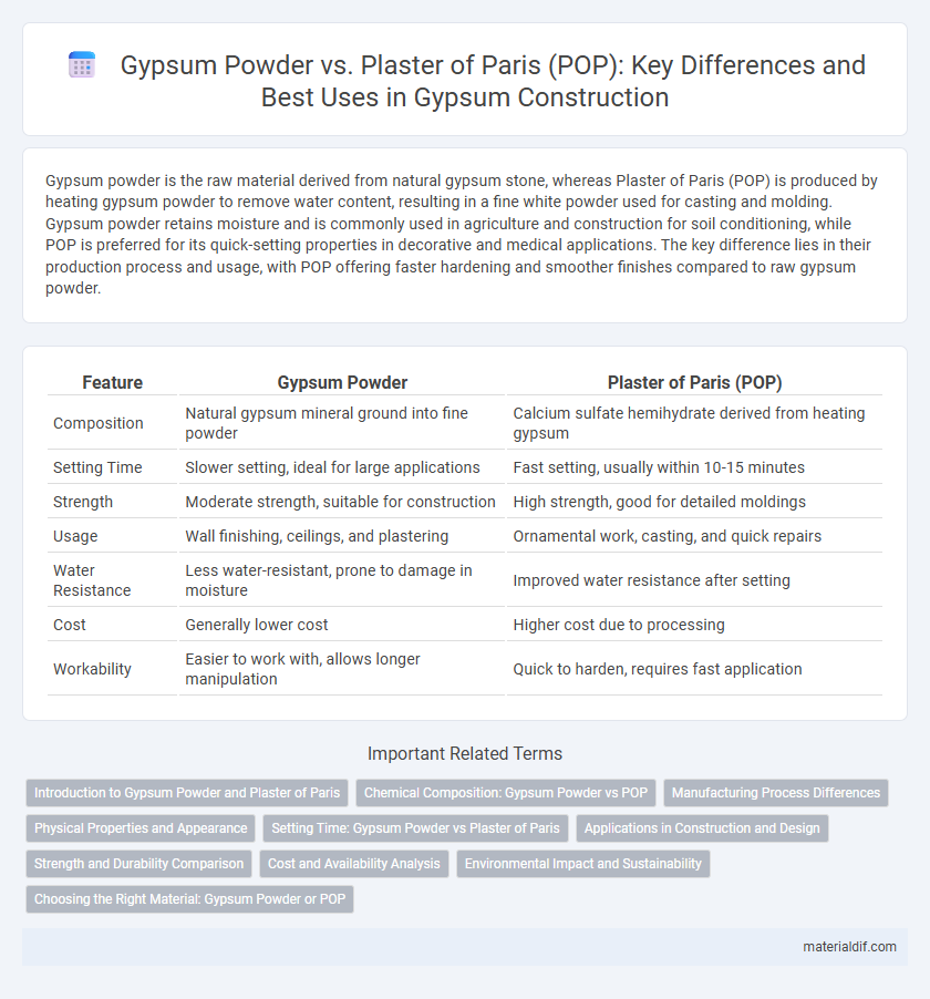 Gypsum Powder vs. Plaster of Paris (POP): Key Differences and Best Uses in Gypsum Construction