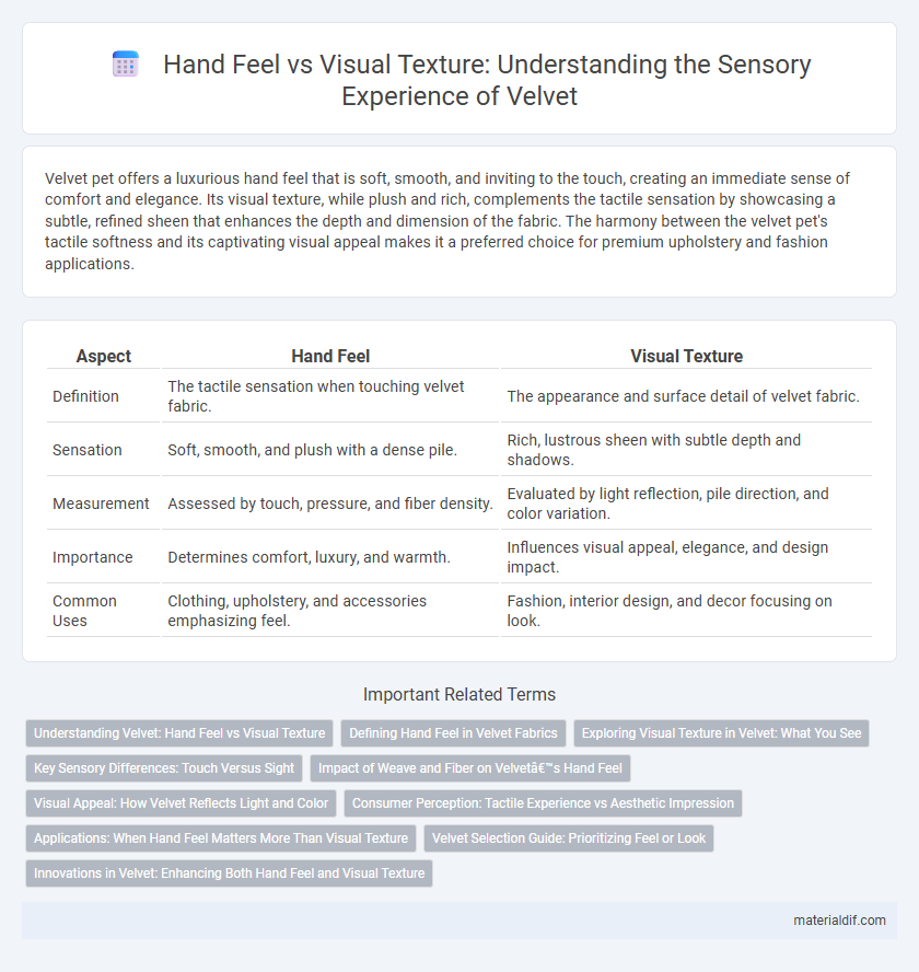Hand Feel vs Visual Texture: Understanding the Sensory Experience of Velvet