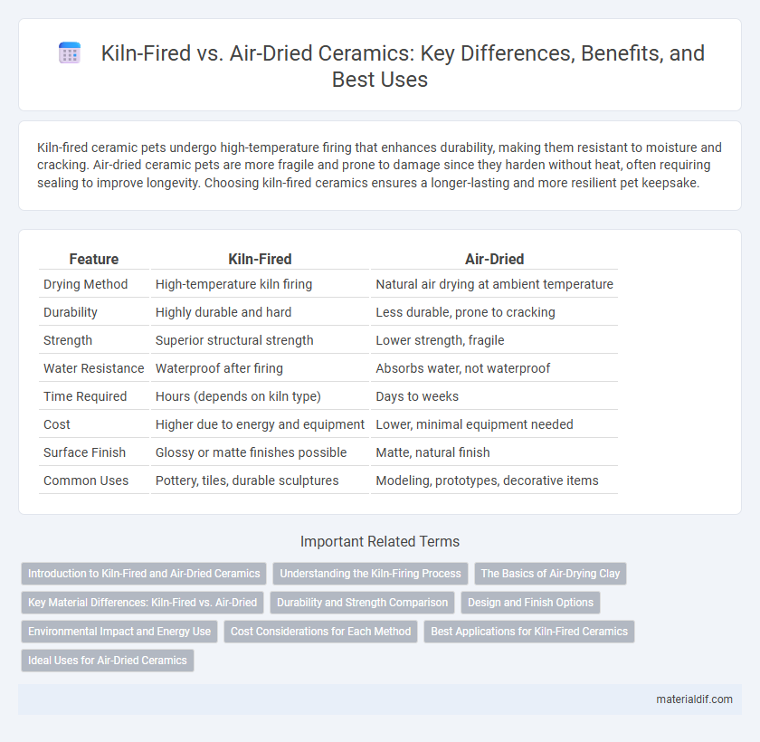 Kiln-Fired vs. Air-Dried Ceramics: Key Differences, Benefits, and Best Uses
