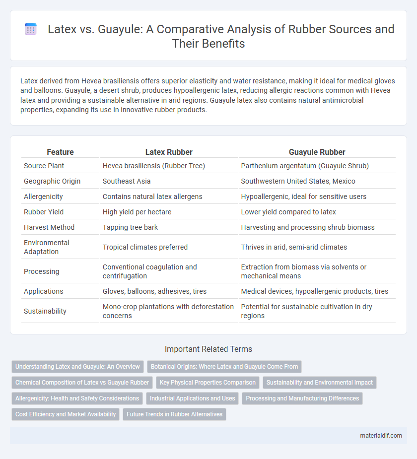 Latex vs. Guayule: A Comparative Analysis of Rubber Sources and Their Benefits