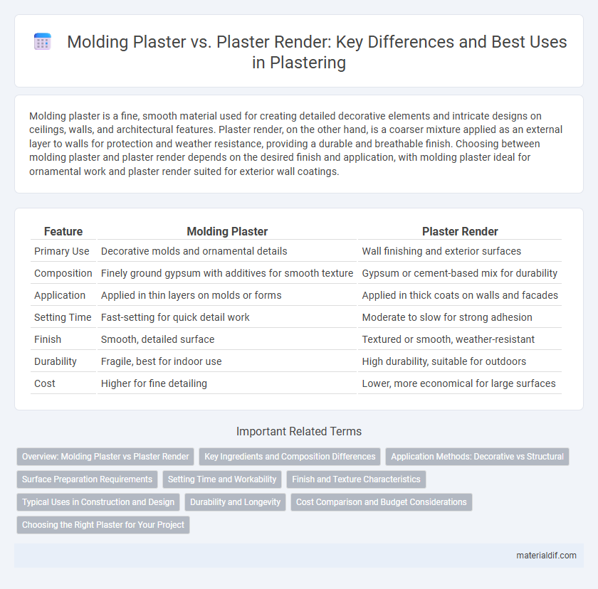 Molding Plaster vs. Plaster Render: Key Differences and Best Uses in Plastering