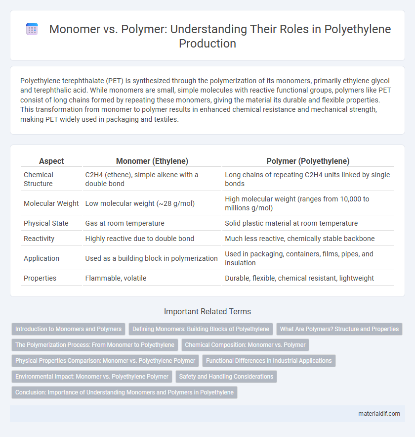 Monomer vs. Polymer: Understanding Their Roles in Polyethylene Production