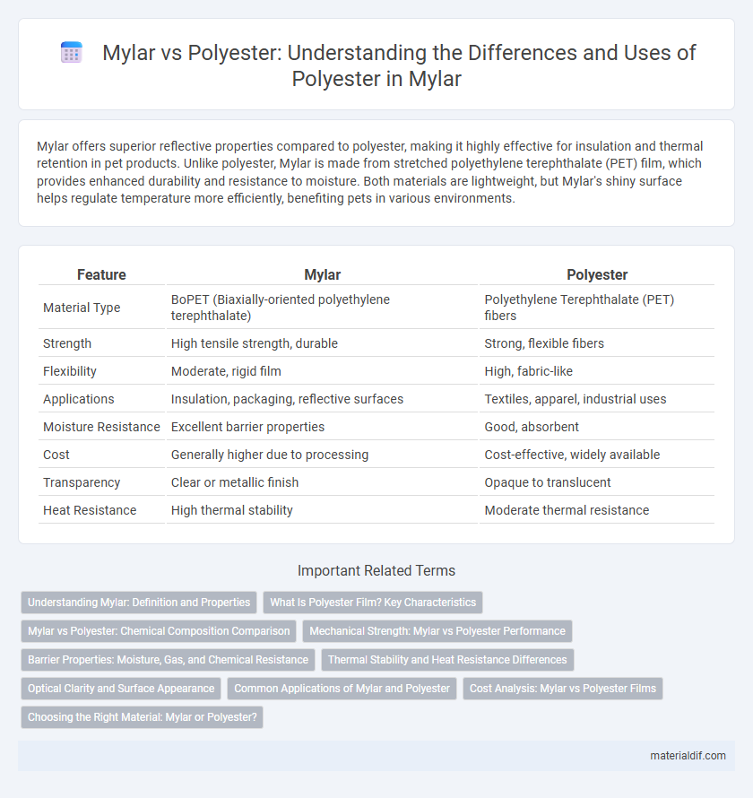 Mylar vs Polyester: Understanding the Differences and Uses of Polyester in Mylar