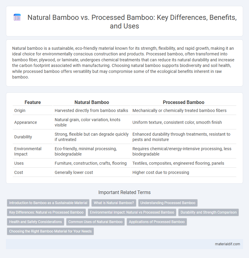 Natural Bamboo vs. Processed Bamboo: Key Differences, Benefits, and Uses