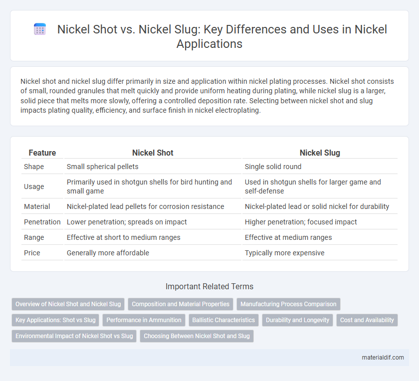 Nickel Shot vs. Nickel Slug: Key Differences and Uses in Nickel Applications