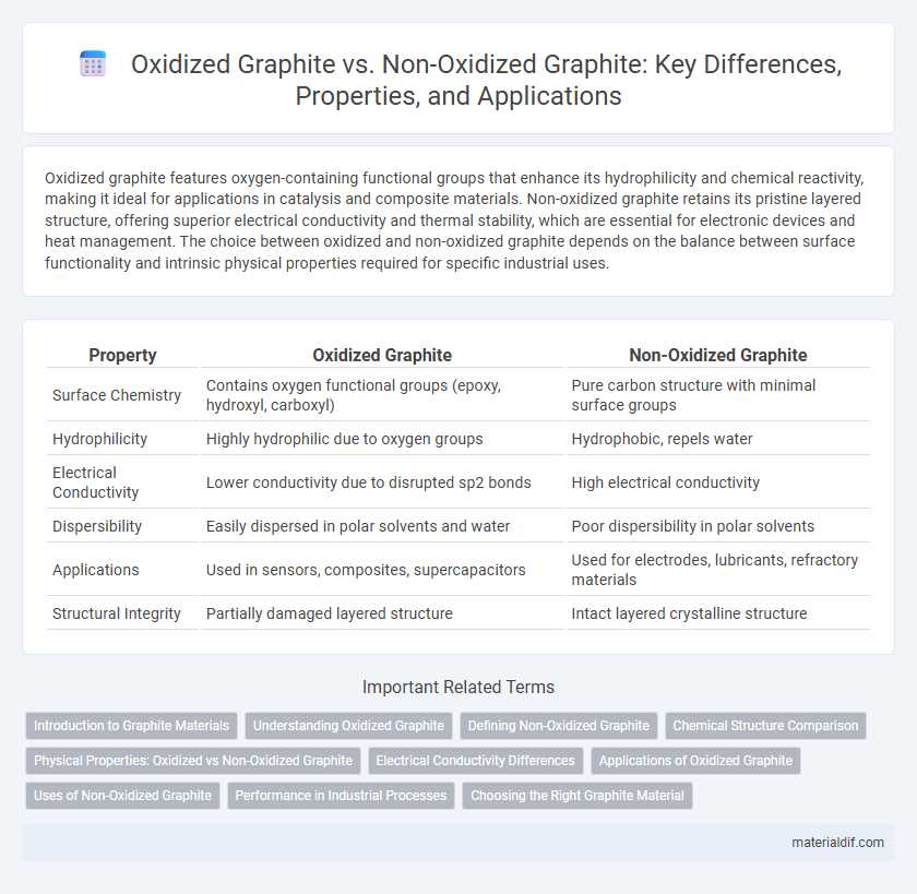 Oxidized Graphite vs. Non-Oxidized Graphite: Key Differences, Properties, and Applications